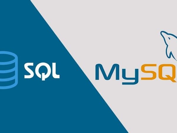 My SQL -顯示資料庫及創建資料表單Show Databases & Create Database